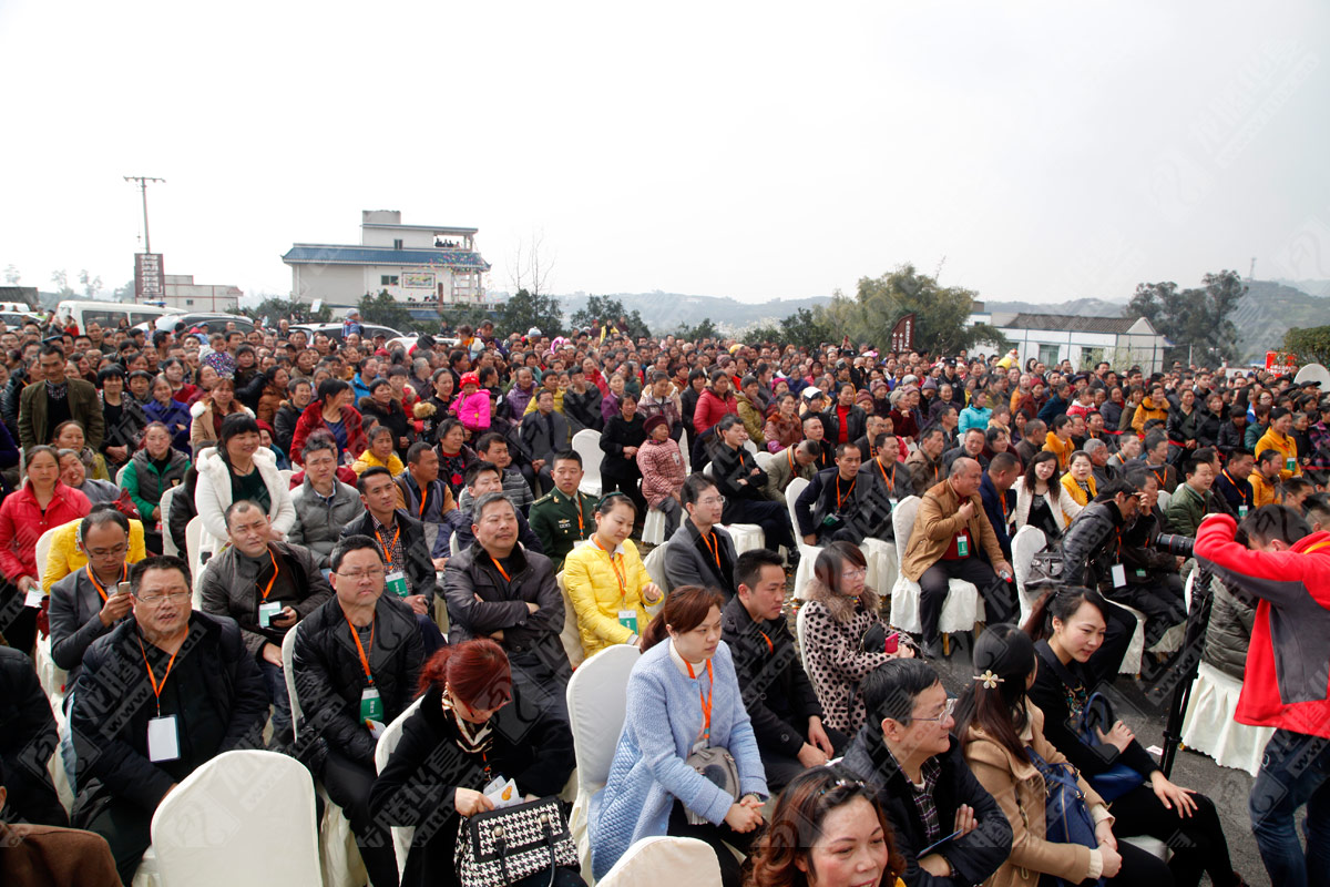 丹棱不知火愛(ài)媛耙耙柑春見(jiàn)清見(jiàn)桔橙水果品牌營(yíng)銷(xiāo)策劃方案|丹棱水果品牌建設推廣設計執行公司