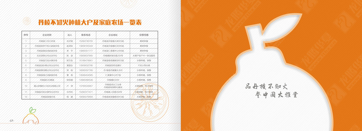 丹棱不知火產(chǎn)品形象宣傳畫(huà)冊設計
