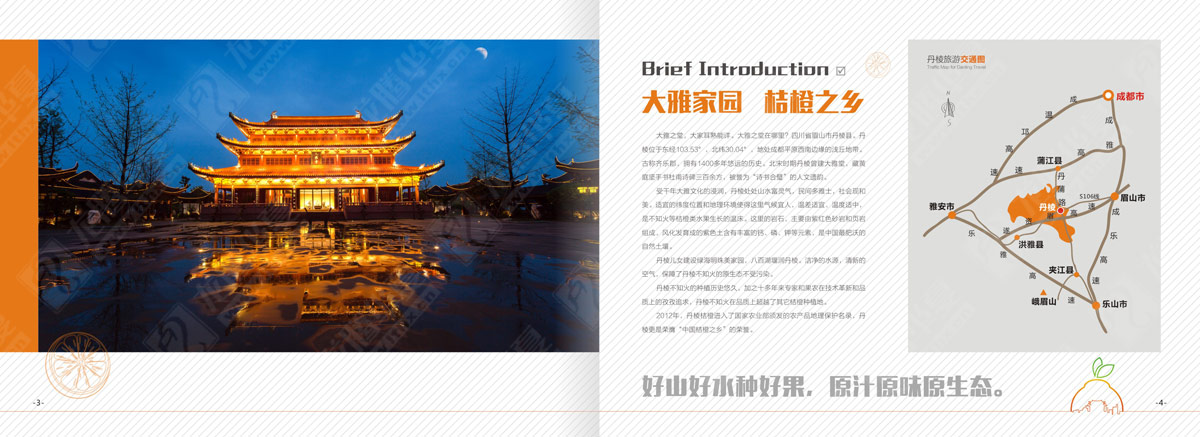 丹棱不知火產(chǎn)品形象宣傳畫(huà)冊設計
