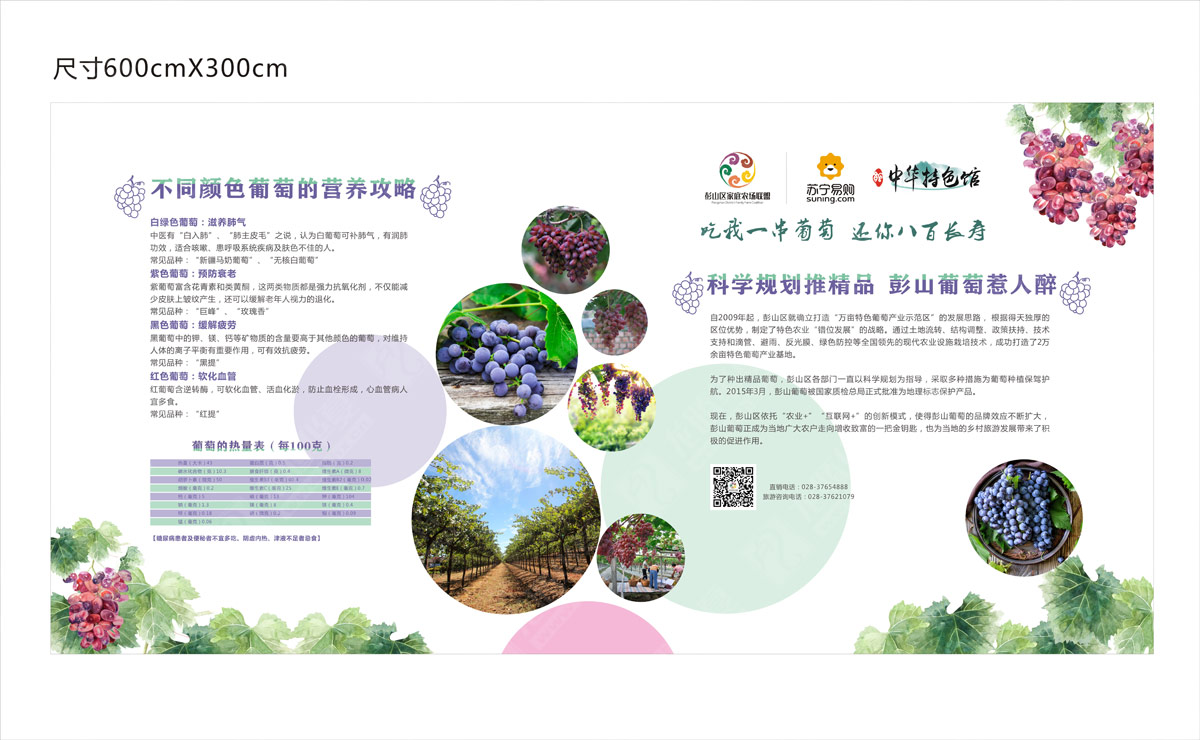 彭山葡萄節營(yíng)銷(xiāo)活動(dòng)策劃