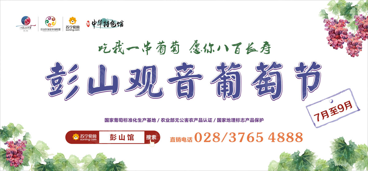 彭山葡萄節營(yíng)銷(xiāo)活動(dòng)策劃