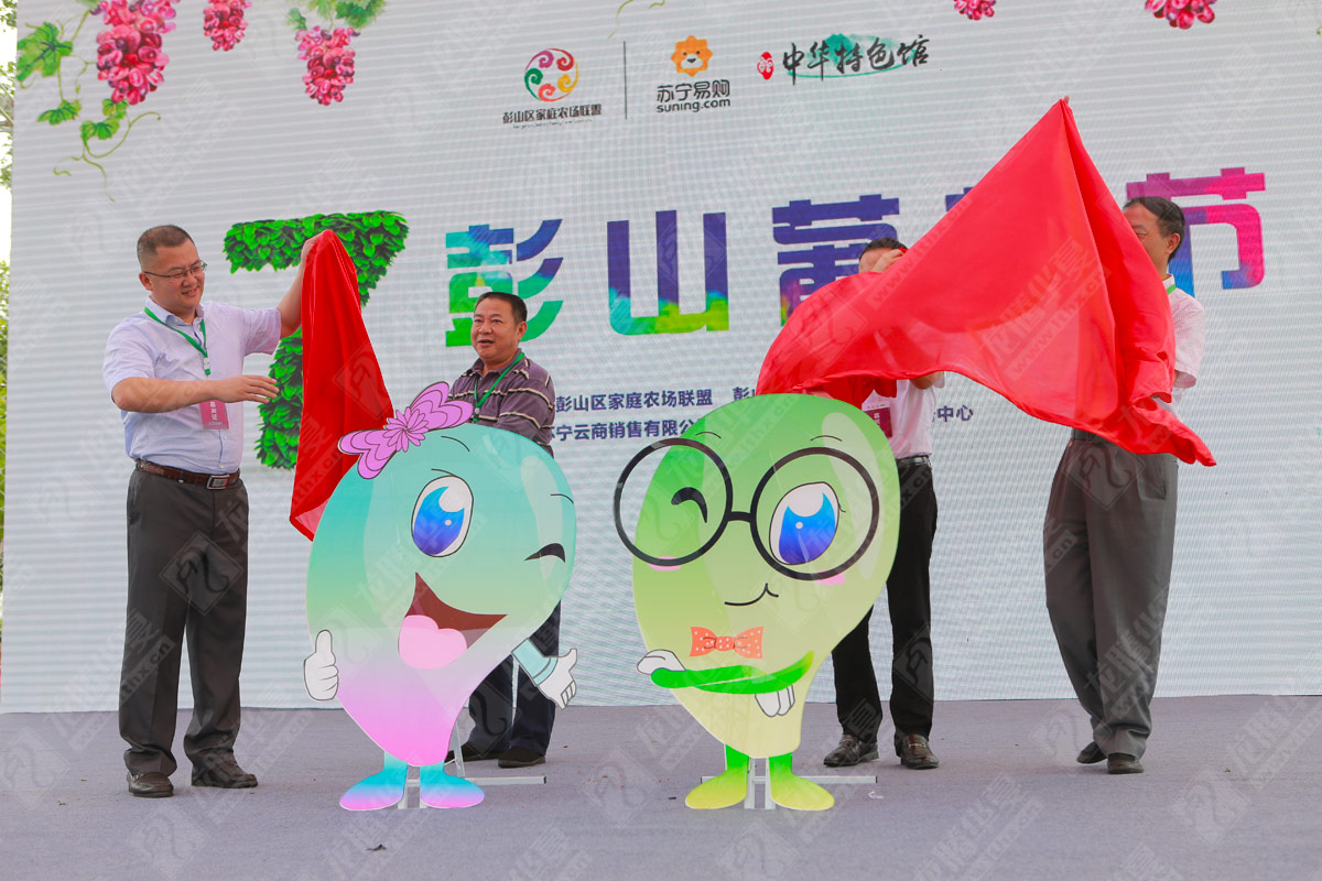 彭山葡萄節營(yíng)銷(xiāo)活動(dòng)策劃