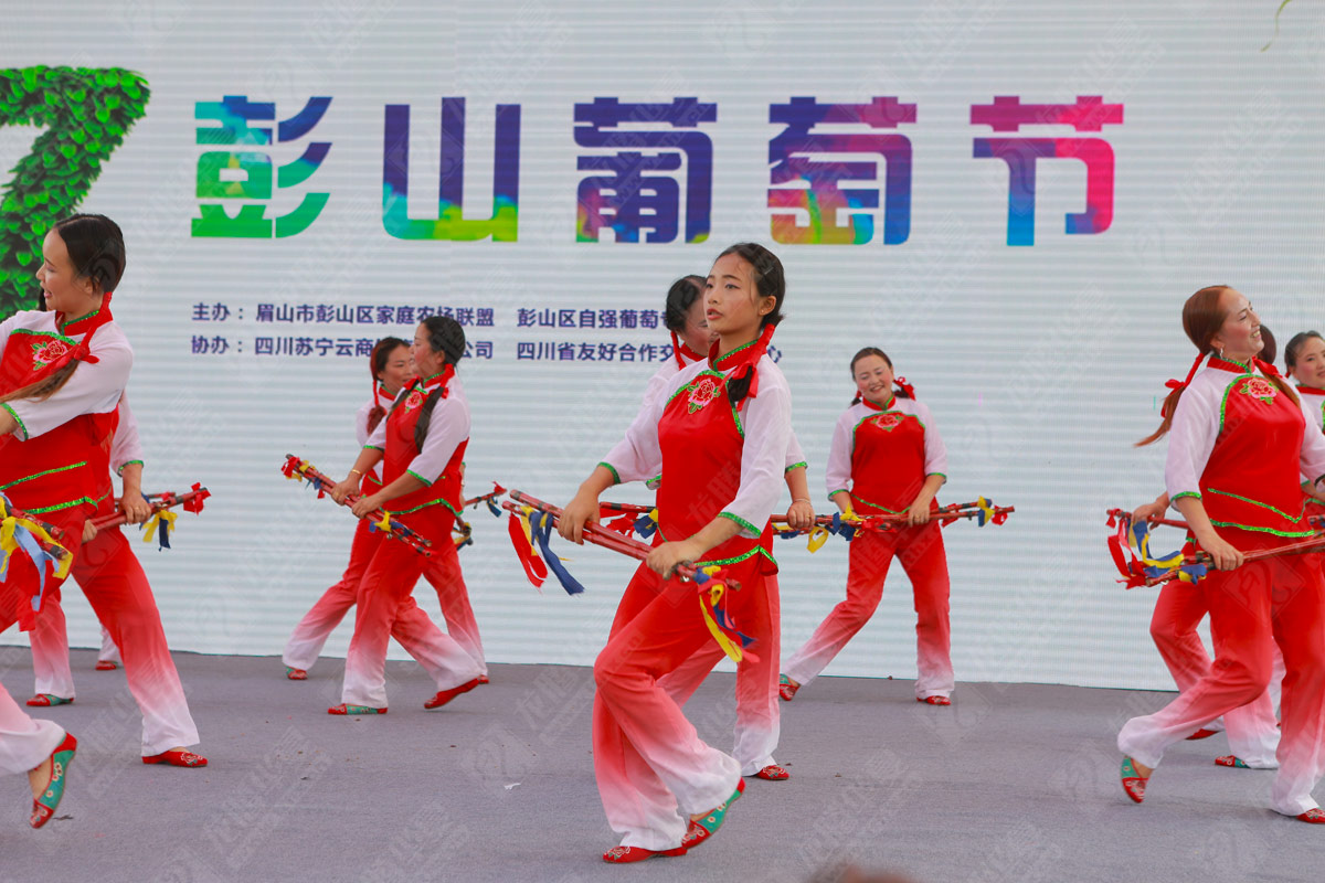 彭山葡萄節營(yíng)銷(xiāo)活動(dòng)策劃