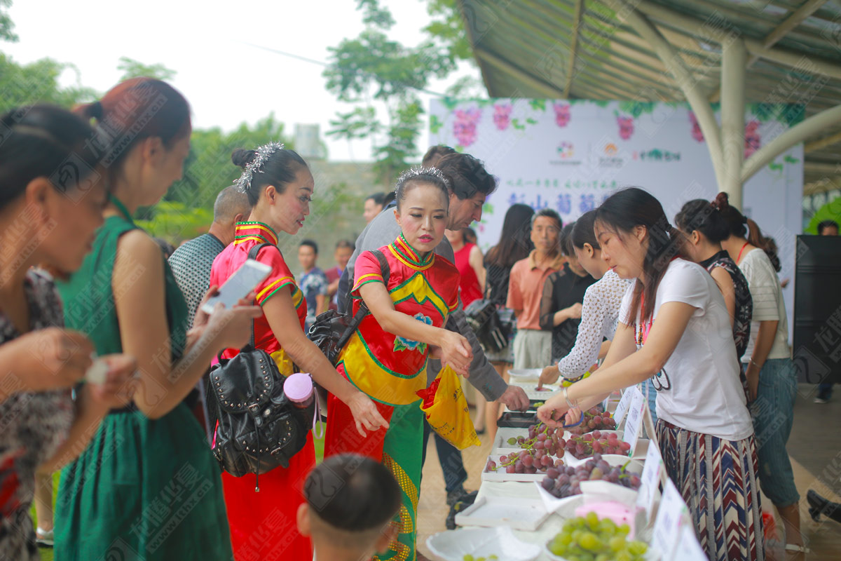 彭山葡萄節營(yíng)銷(xiāo)活動(dòng)策劃