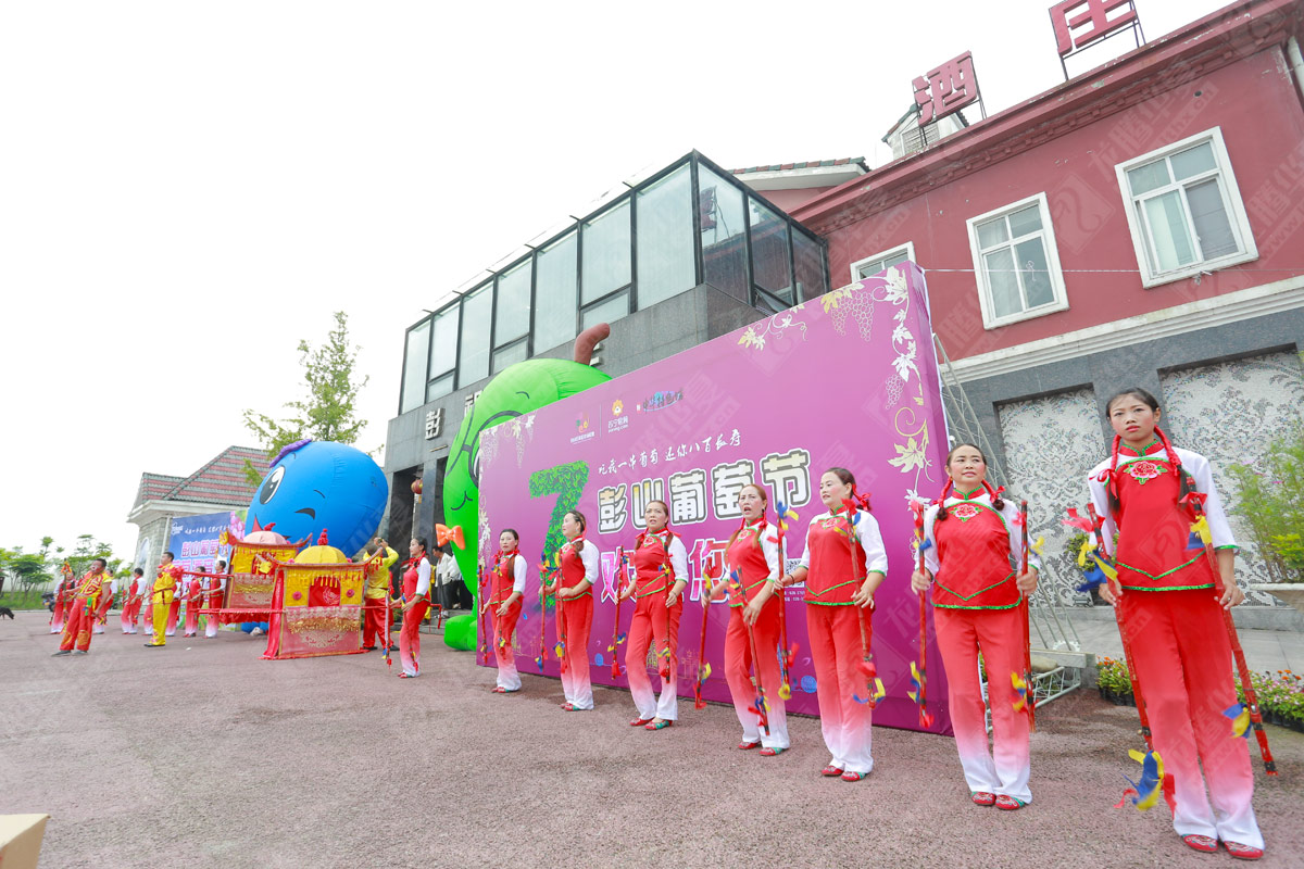 彭山葡萄節營(yíng)銷(xiāo)活動(dòng)策劃
