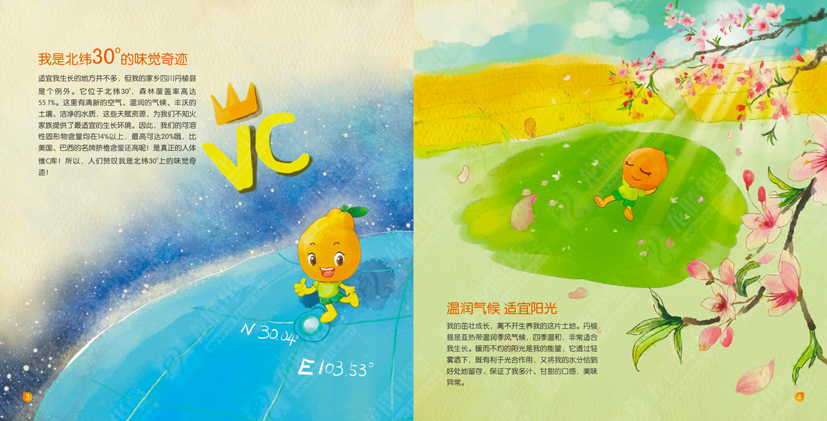 丹棱不知火產(chǎn)品形象宣傳畫(huà)冊設計