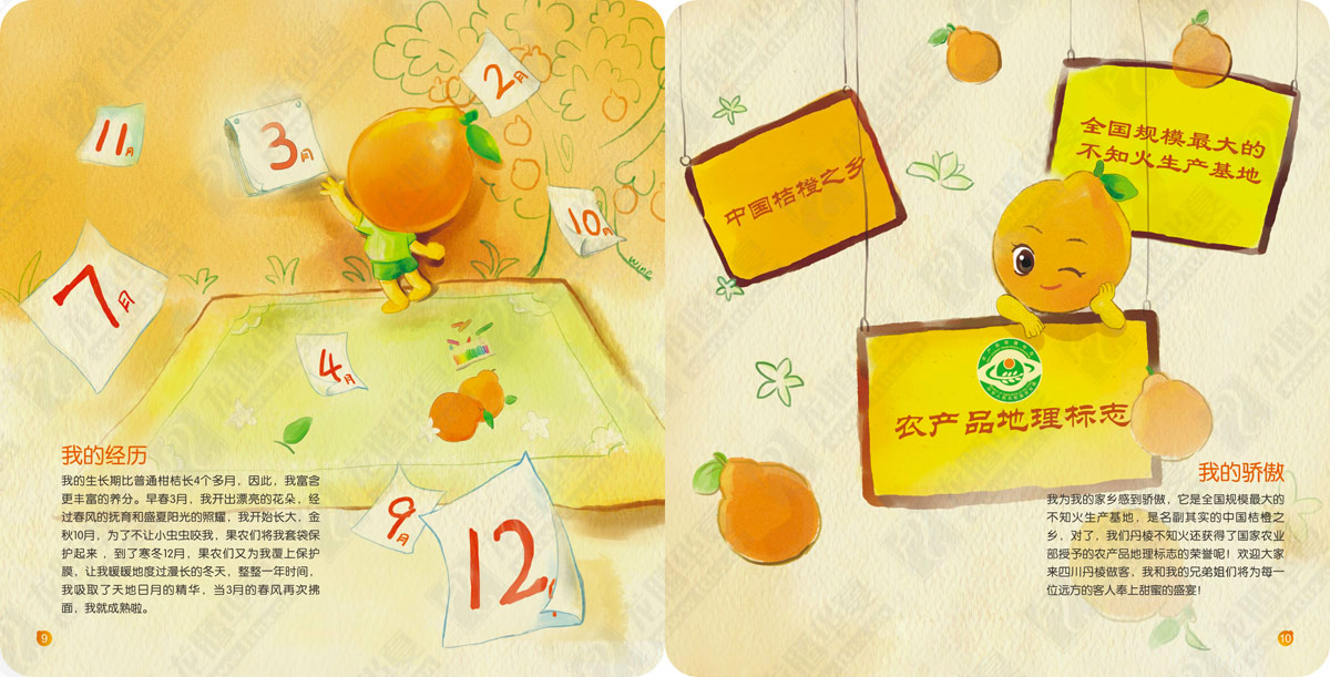 丹棱不知火產(chǎn)品形象宣傳畫(huà)冊設計