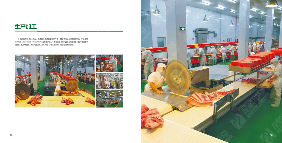 井研食品形象畫(huà)冊設計