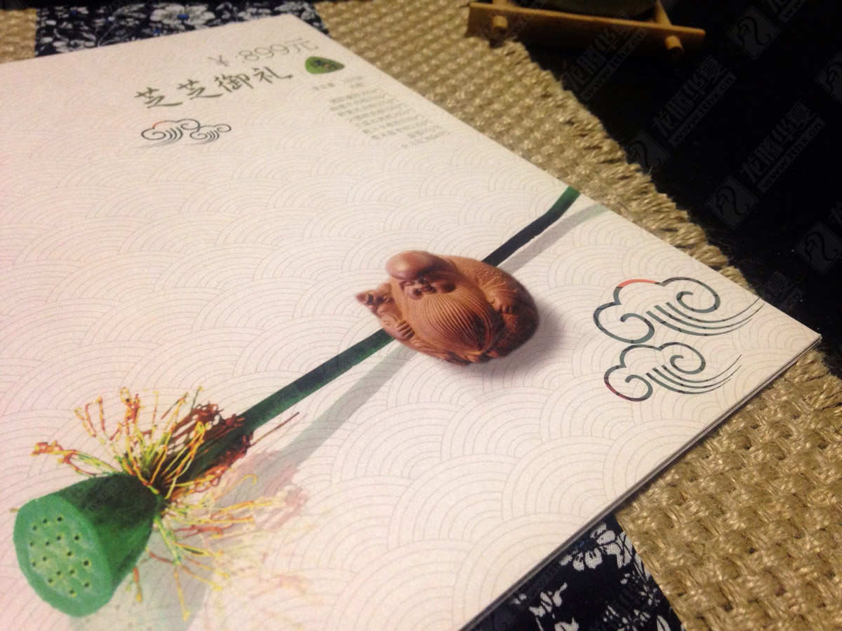 芝芝端午粽子畫(huà)冊設計|粽子宣傳畫(huà)冊設計|粽子端午節畫(huà)冊設計