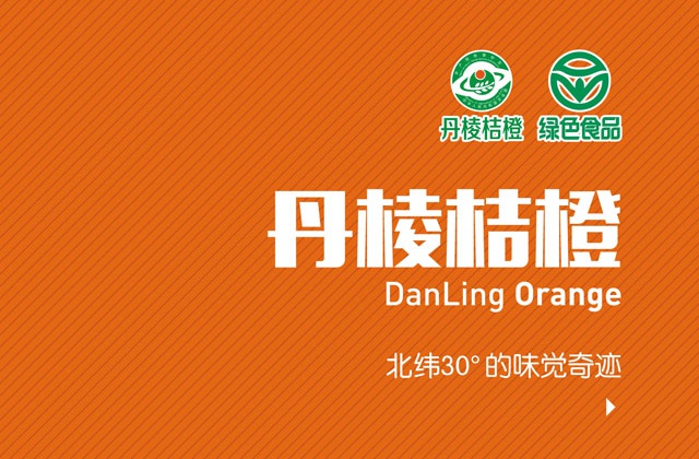 丹棱桔橙招商畫(huà)冊設計