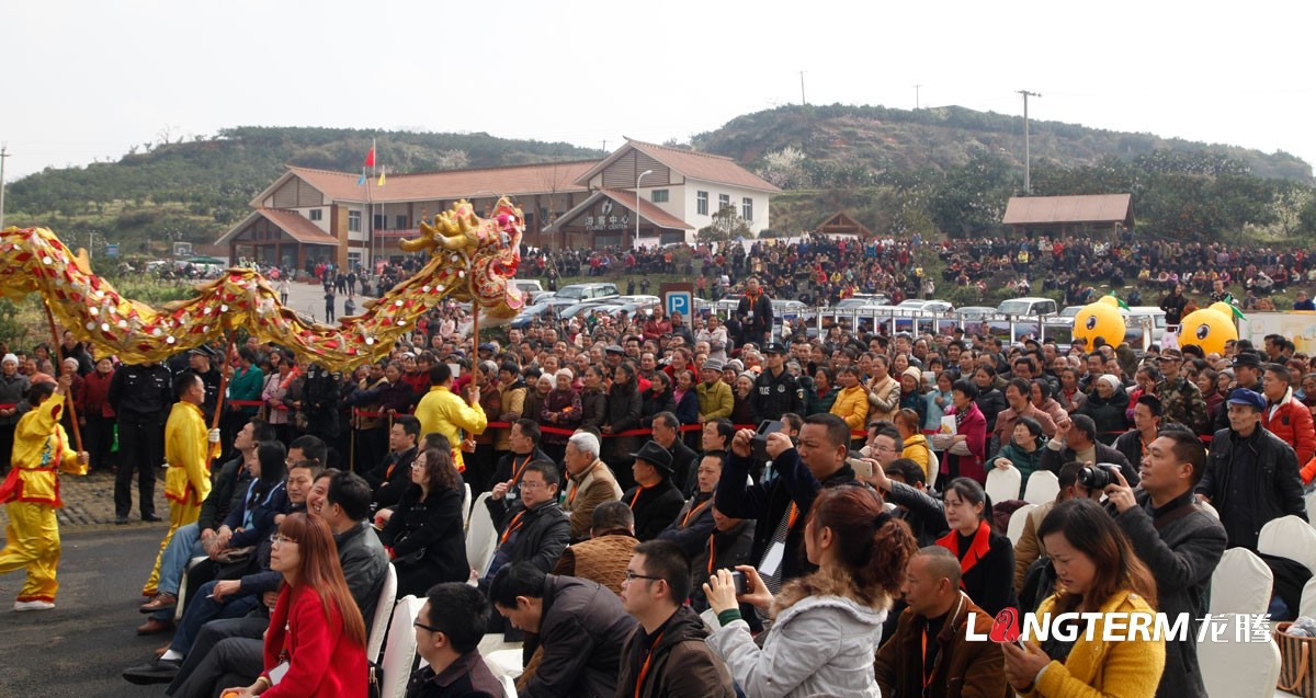 丹棱不知火愛(ài)媛耙耙柑春見(jiàn)清見(jiàn)桔橙水果品牌營(yíng)銷(xiāo)策劃方案|丹棱水果品牌建設推廣設計執行公司
