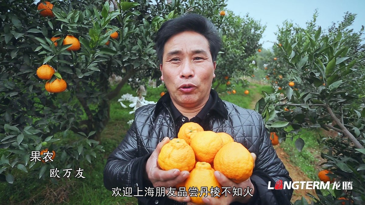 丹棱不知火愛(ài)媛耙耙柑春見(jiàn)清見(jiàn)桔橙水果品牌營(yíng)銷(xiāo)策劃方案|丹棱水果品牌建設推廣設計執行公司