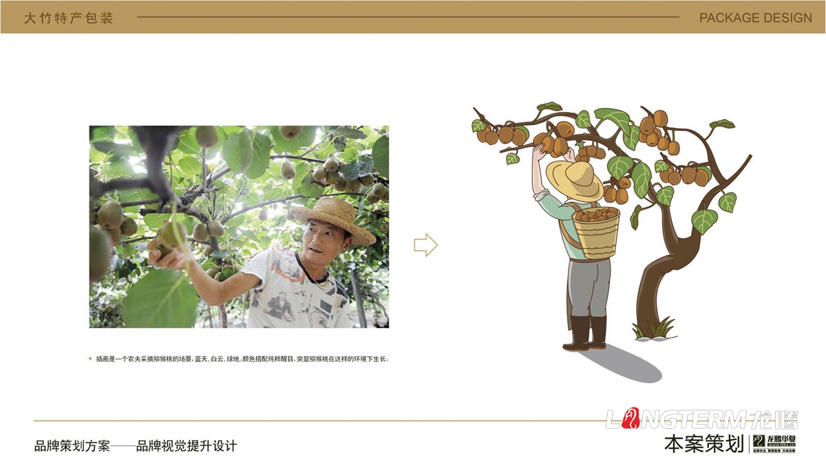 大竹獼猴桃水果卡通包裝盒設計_達州市大竹縣地方特產(chǎn)水果奇異果包裝設計方案