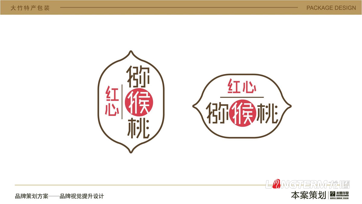 大竹獼猴桃水果卡通包裝盒設計_達州市大竹縣地方特產(chǎn)水果奇異果包裝設計方案