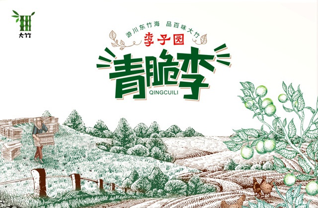 李子園包裝設計-大竹區域公用品牌形象設計、視覺(jué)元素提煉、手繪插畫(huà)、字體設計、產(chǎn)品包裝設計、宣傳冊設計