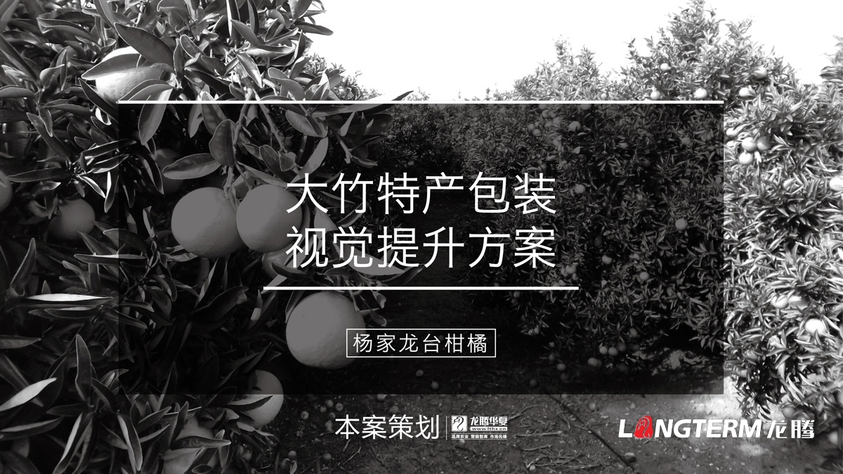 楊家龍臺柑橘視覺(jué)包裝設計_品牌視覺(jué)包裝設計_成都精品禮盒設計公司