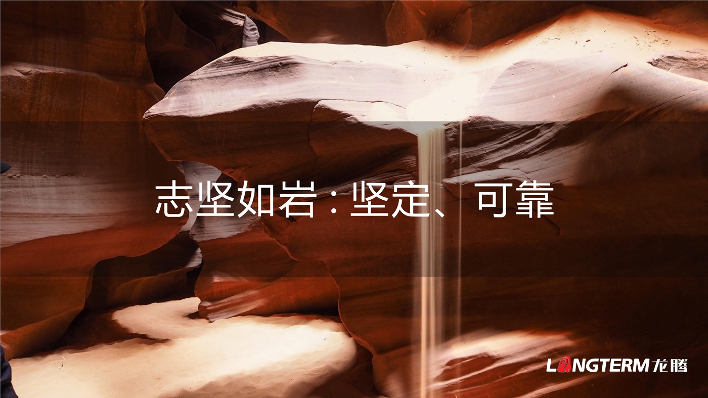 四川海巖聲學(xué)科技有限公司LOGO設計