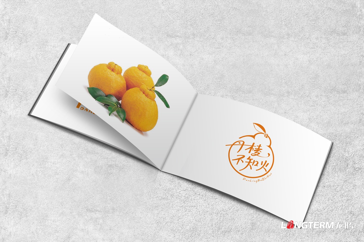 丹棱不知火品牌形象設計|眉山市桔橙水果區域公用品牌標志LOGO升級