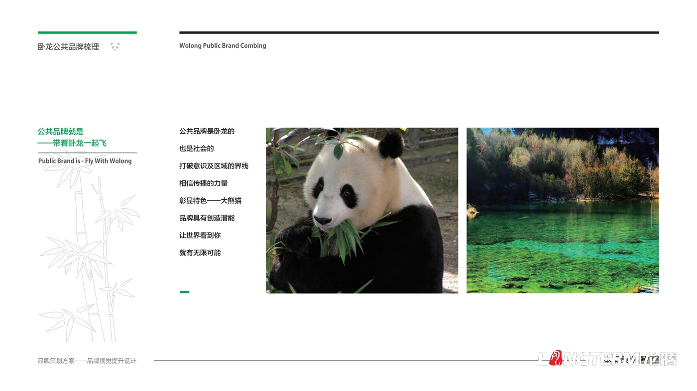 臥龍鎮區域公用品牌策劃_臥龍特別行政區品味臥龍區域公共品牌策劃及形象設計