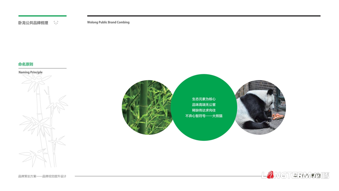 臥龍鎮區域公用品牌策劃_臥龍特別行政區品味臥龍區域公共品牌策劃及形象設計