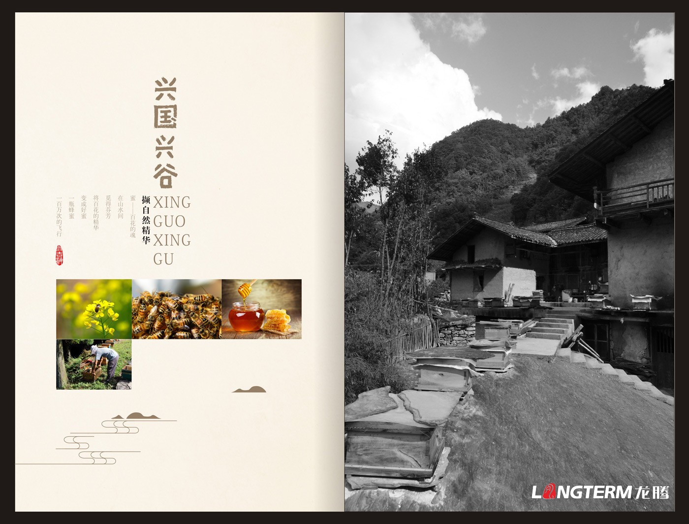 興國興谷農業(yè)公司畫(huà)冊設計_興國興谷農業(yè)發(fā)展有限公司宣傳手冊設計
