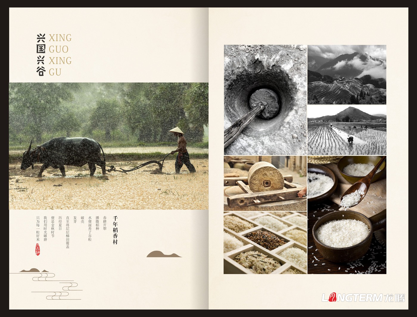 興國興谷農業(yè)公司畫(huà)冊設計_興國興谷農業(yè)發(fā)展有限公司宣傳手冊設計