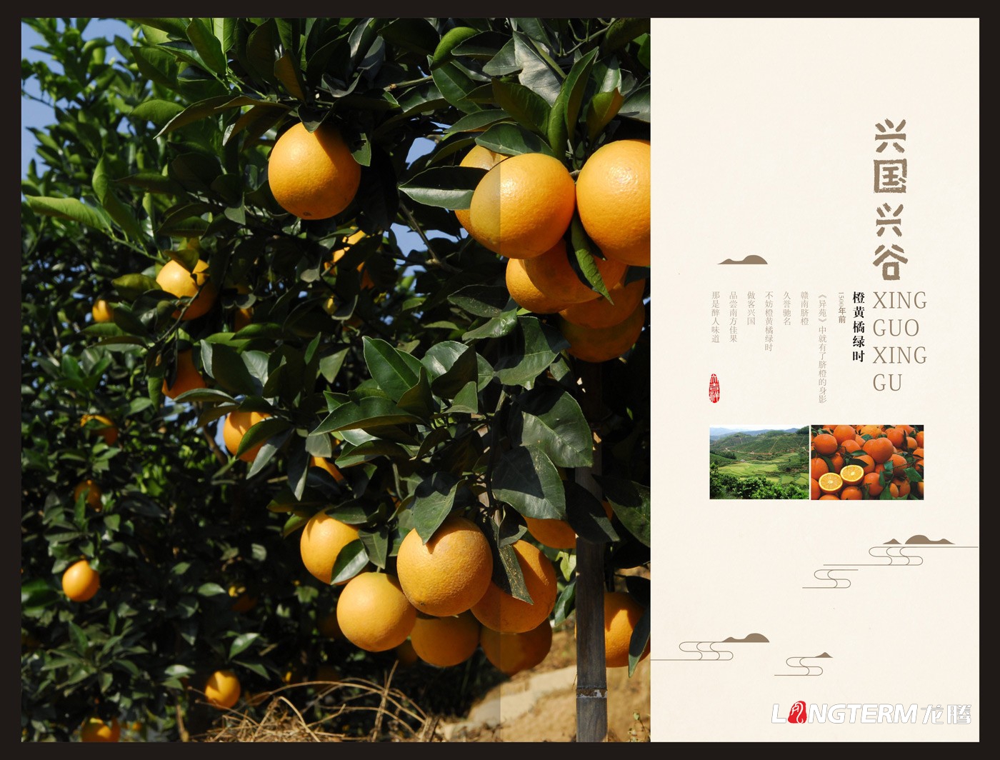 興國興谷農業(yè)公司畫(huà)冊設計_興國興谷農業(yè)發(fā)展有限公司宣傳手冊設計