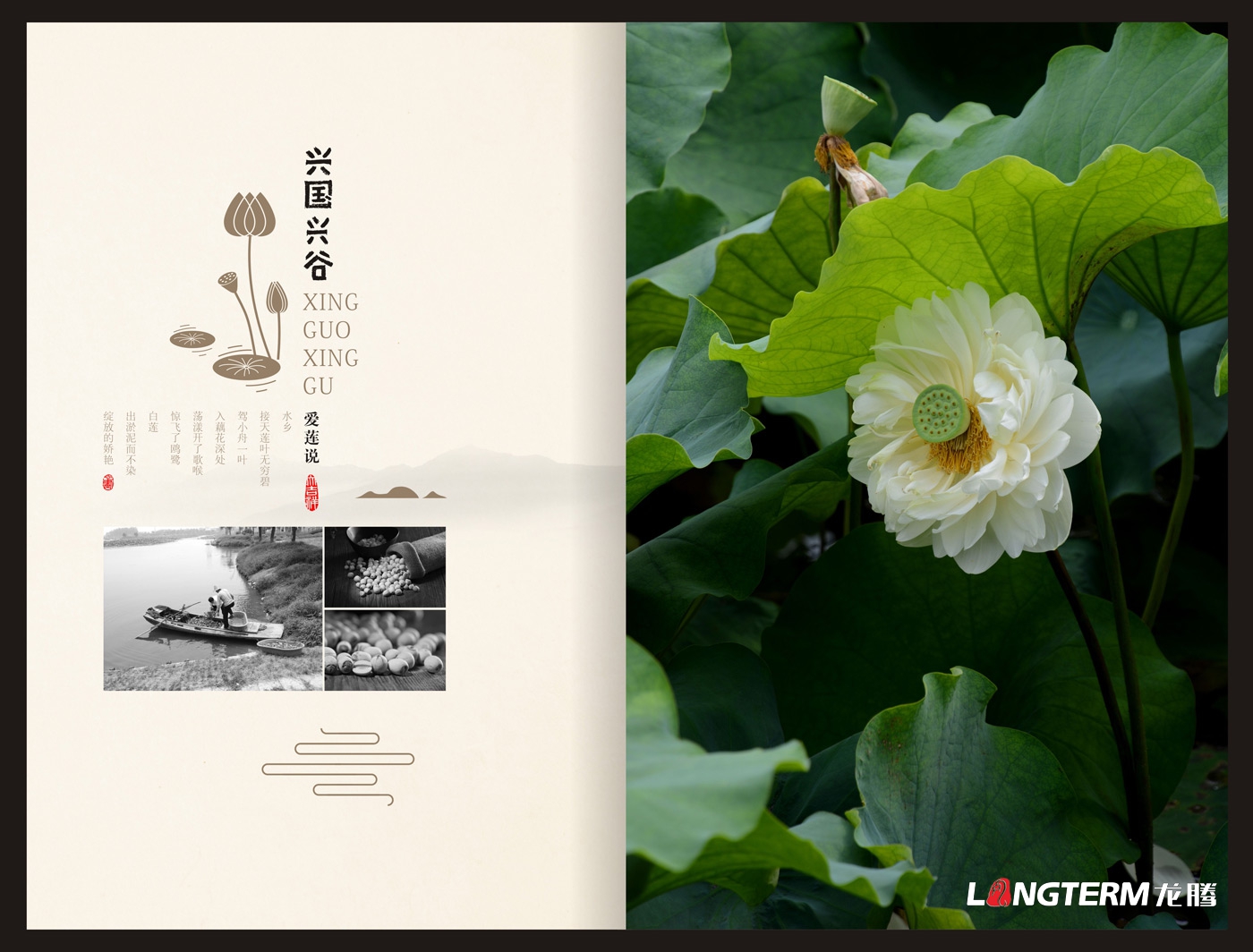 興國興谷農業(yè)公司畫(huà)冊設計_興國興谷農業(yè)發(fā)展有限公司宣傳手冊設計