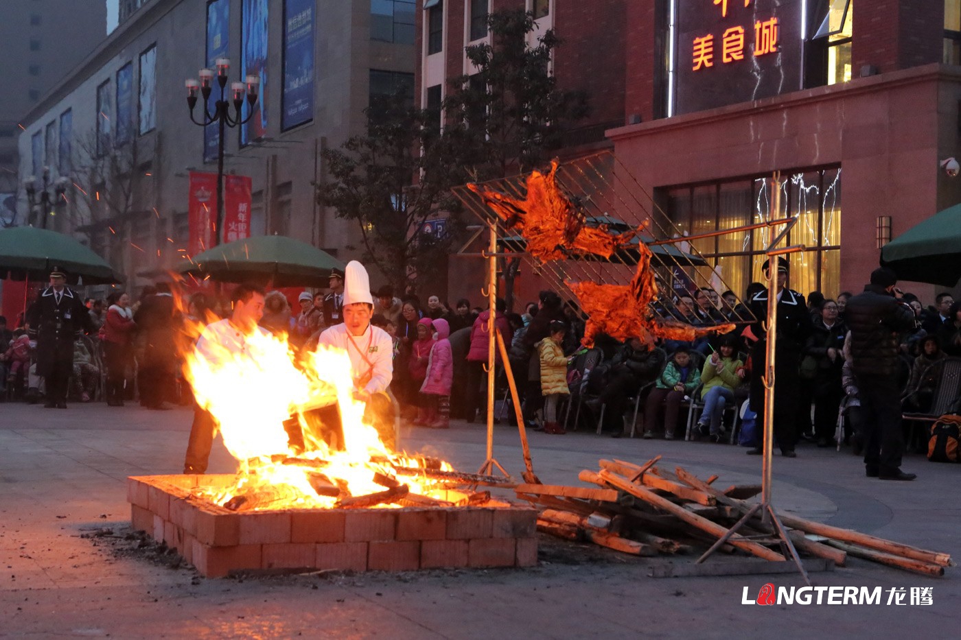 成都置信中國年新春花會(huì )活動(dòng)策劃