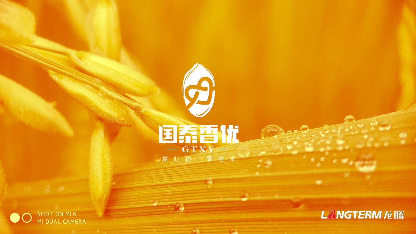 國泰香優(yōu)品牌形象VIS設計_四川眾智種業(yè)科技有限公司品牌視覺(jué)VI設計
