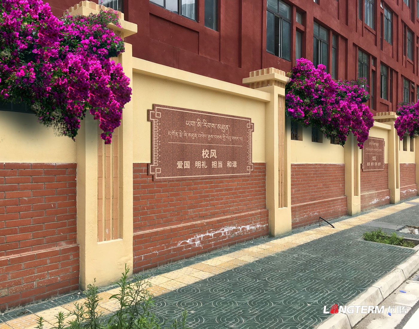 甘孜州高級中學(xué)校園文化包裝設計